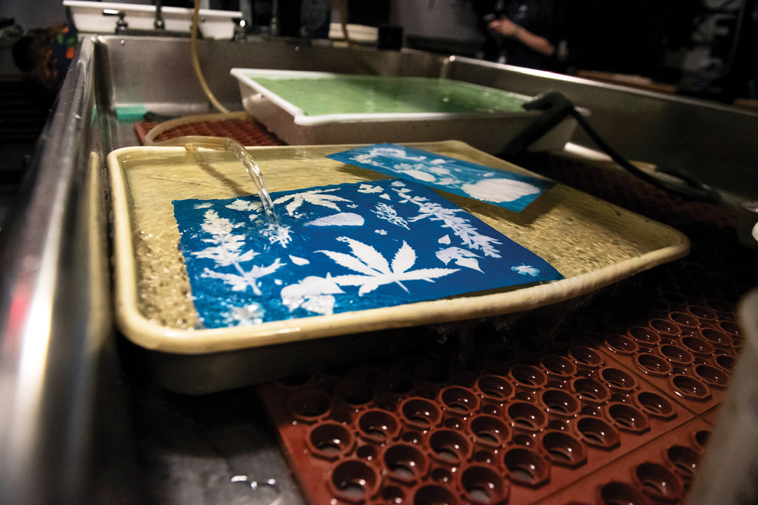 Cyanotype prints processing